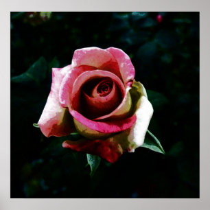 Poster Rosa pintado com óleo