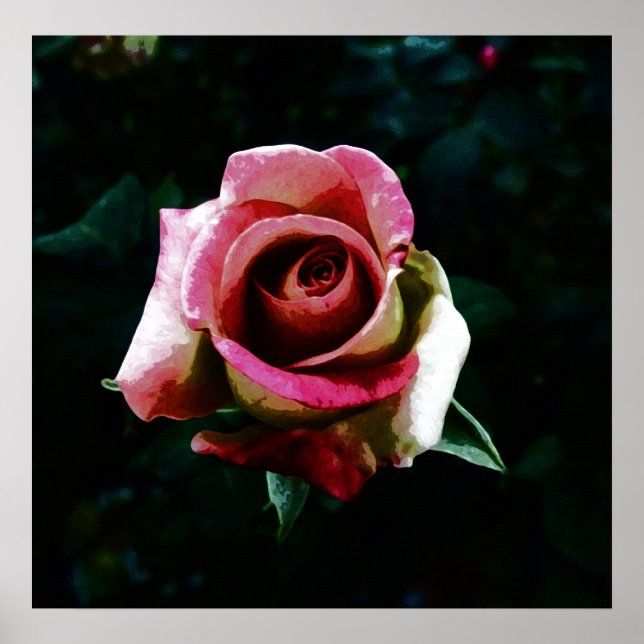 Poster Rosa pintado com óleo (Frente)