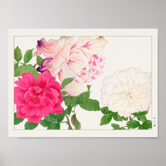 Poster Rosa por Tanigami Konan (Frente)