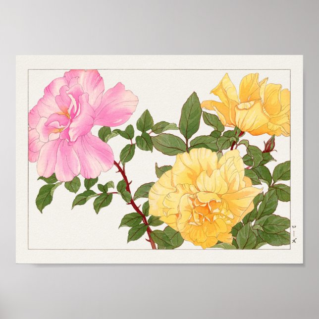 Poster Rosa por Tanigami Konan (Frente)
