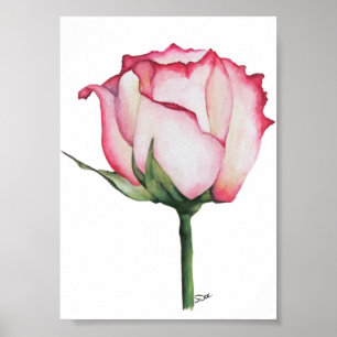 Poster Rosa Premium Canvas 5x7