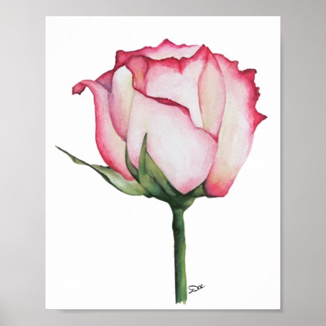 Poster Rosa Premium Canvas 8x10 (Frente)
