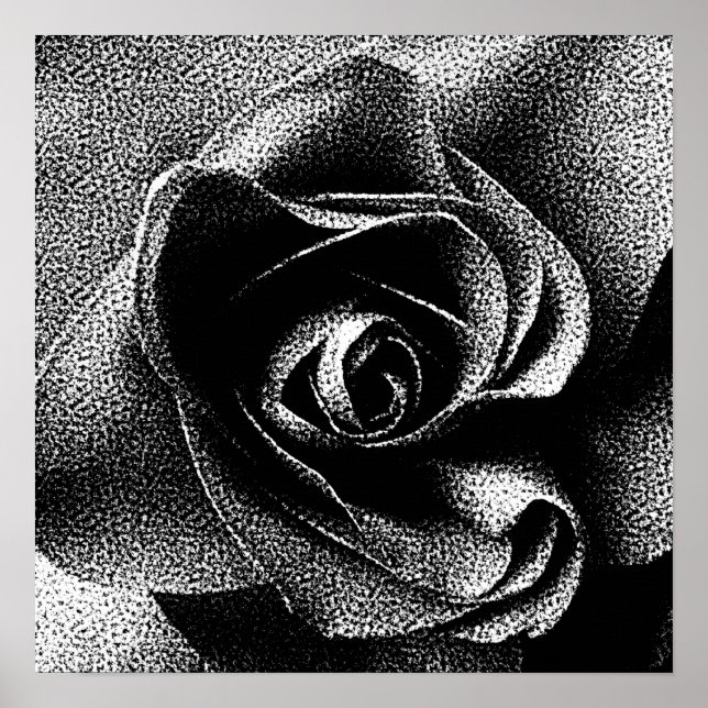 PÓSTER ROSA PRETA (Frente)