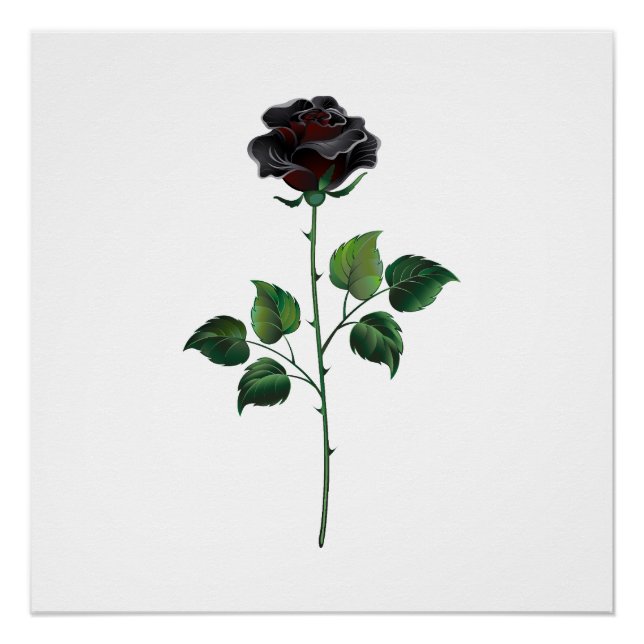 Póster Rosa preto (Frente)