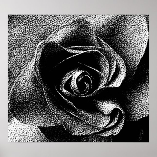 PÓSTER ROSA PRETO (Frente)