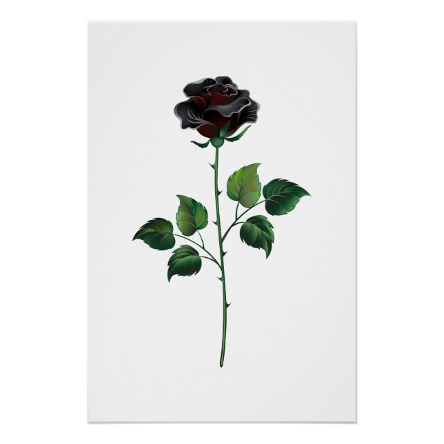 Póster Rosa preto (Frente)