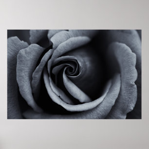 Poster Rosa preto e branco