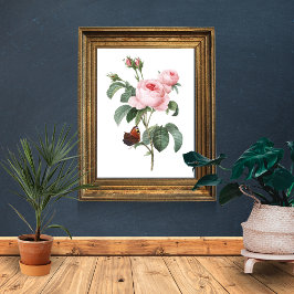 Poster Rosa Rosa e Borboleta