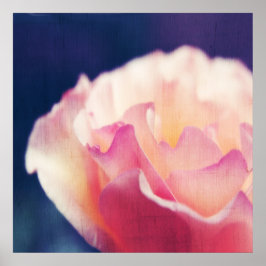 Poster Rosa Rosa Romântica no Macro Abstrato da Tela