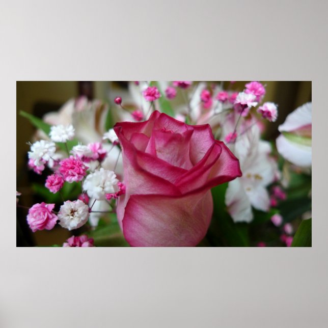Poster Rosa Rosa Rosa (Frente)