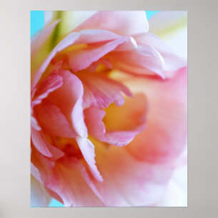 Poster Rosa Rosa Rosa
