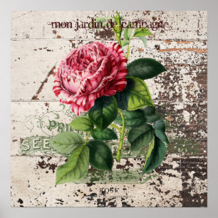 Poster Rosa rosa rosa com pano de madeira rústico