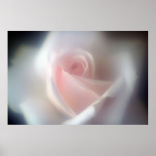 Poster Rosa Rosa Rosa grande Poster/Impressão