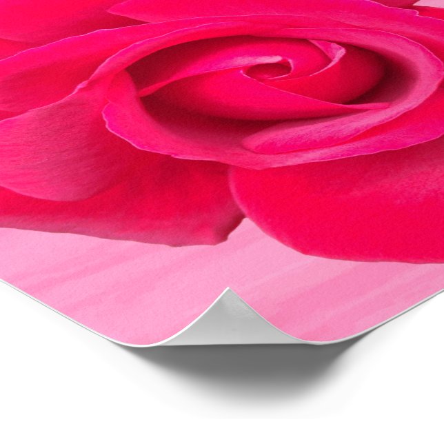 Póster Rosa Rosa Vermelha Romântica (Borda)