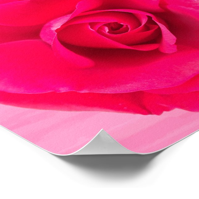 Póster Rosa Rosa Vermelho Romântico v2 (Borda)