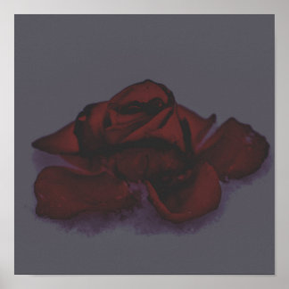 Poster Rosa sombria