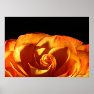Poster Rosa sunset