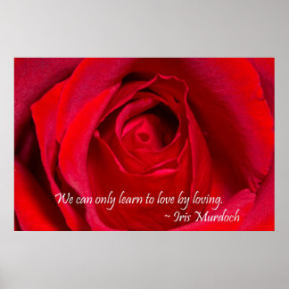 Póster Rosa vermelha