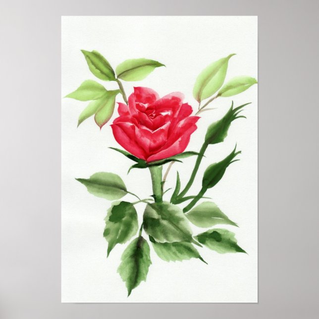 Poster Rosa vermelha (Frente)