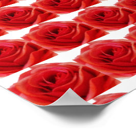 Poster Rosa vermelha