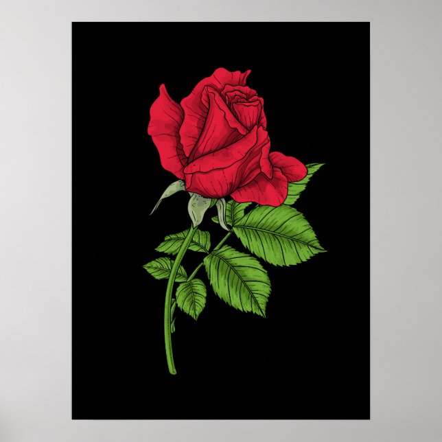 Poster Rosa vermelha (Frente)