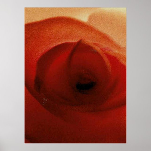 POSTER ROSA VERMELHA EM DESTAQUE (Frente)