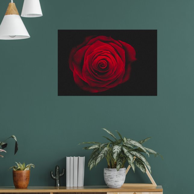 Poster Rosa vermelha em fundo preto efeito vintage (Sala de Estar 1)