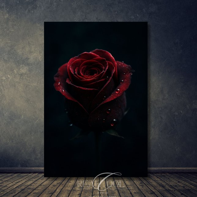 Poster Rosa vermelha Escura Imagem Elegante (Criador carregado)