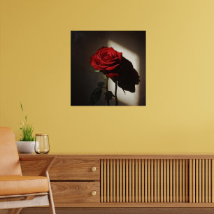 Poster Rosa vermelha Sombreada - Dramática Chiaroscuro Fl