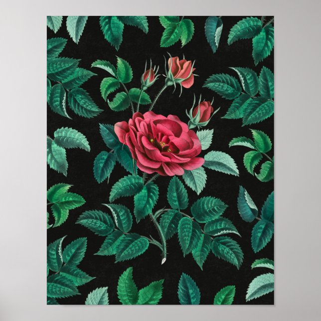 Poster Rosa Vermelha Vintage (Frente)