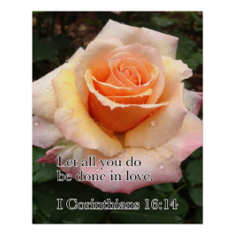 Póster Rosa WET COM AMOR