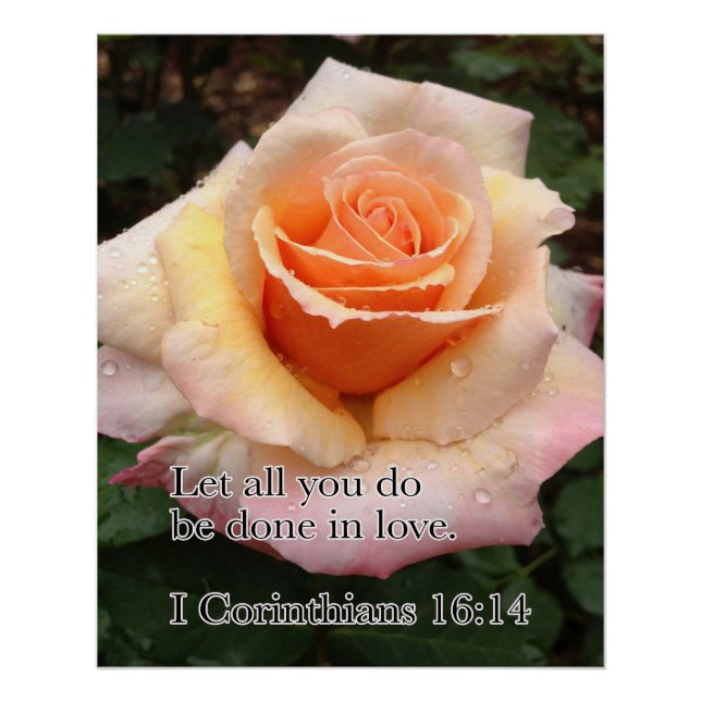 Póster Rosa WET COM AMOR (Frente)