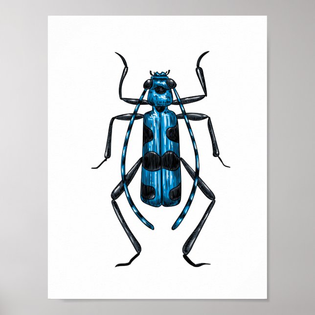 Poster Rosalia Alpina beetle (Frente)