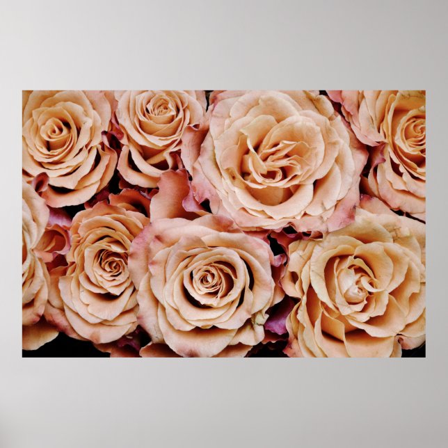 Poster Rosas (Frente)