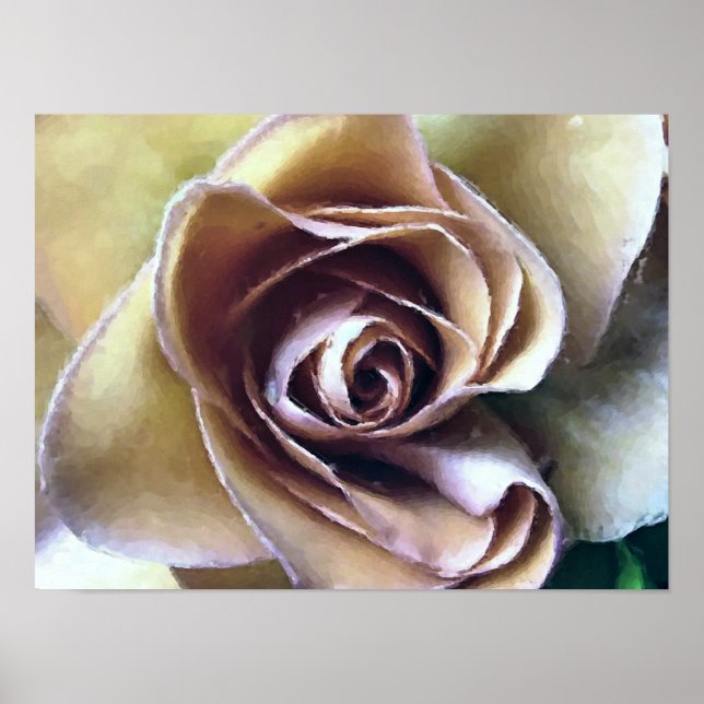 PÓSTER ROSAS (Frente)