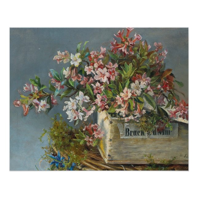 Póster Rosas alpinos em uma janela - Andreas Lach (Frente)