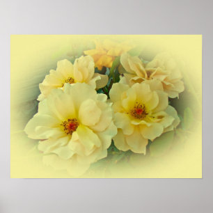 Poster Rosas Amarelas