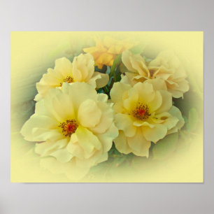 Poster Rosas Amarelas