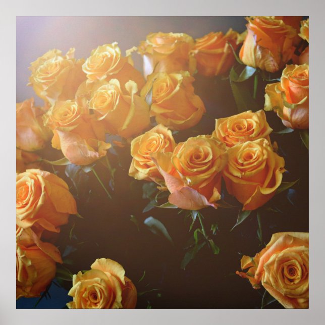 Poster Rosas amarelas (Frente)