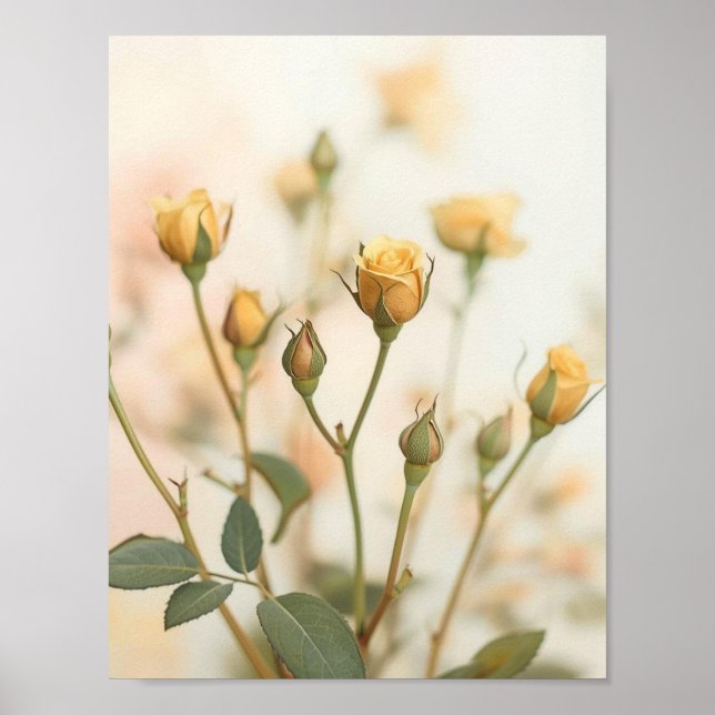 Poster Rosas Amarelas Suaves em Design Floral (Frente)
