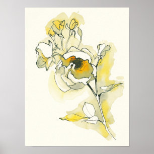 Poster Rosas amarelos e brancos