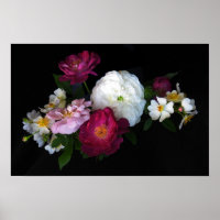 Rosas antigos