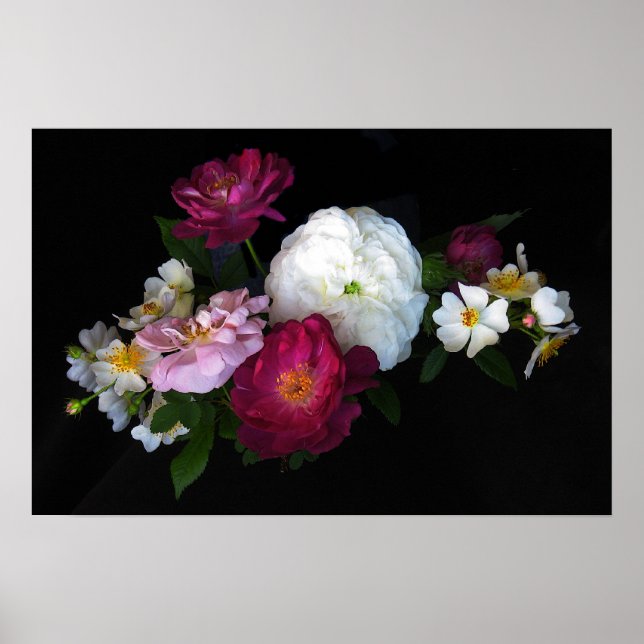 Poster Rosas antigos (Frente)