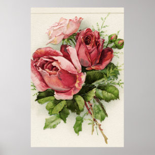 Póster Rosas Antigos de Arte Vintage