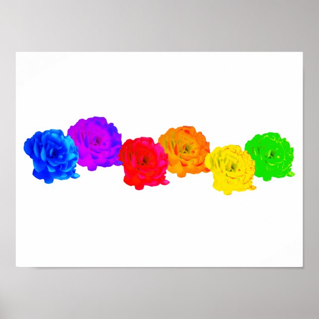 Poster Rosas arco-íris (Frente)