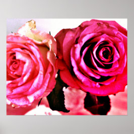 Poster Rosas Bloqueadores
