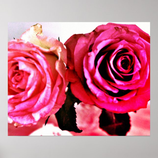 Poster Rosas Bloqueadores (Frente)