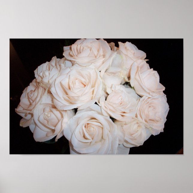 Poster Rosas brancas (Frente)