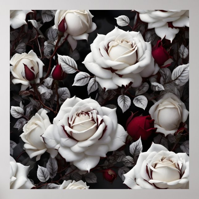 Poster Rosas Brancas Burgundias Com Folhas Negras (Frente)