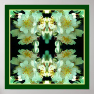 Poster Rosas Brancas Selvagens Desenfreadas Florais Abstr